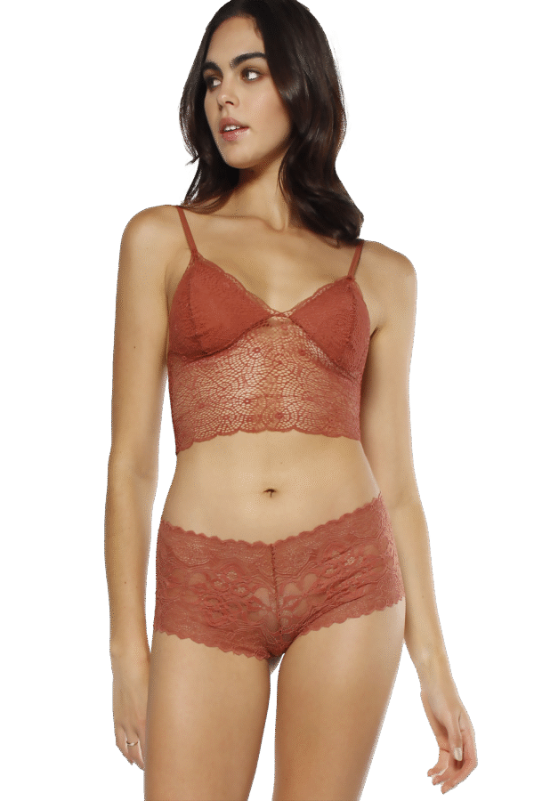 Sky Lace Boxer without Elastics
